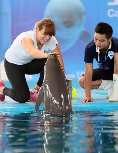 其中又有什 其中又有什